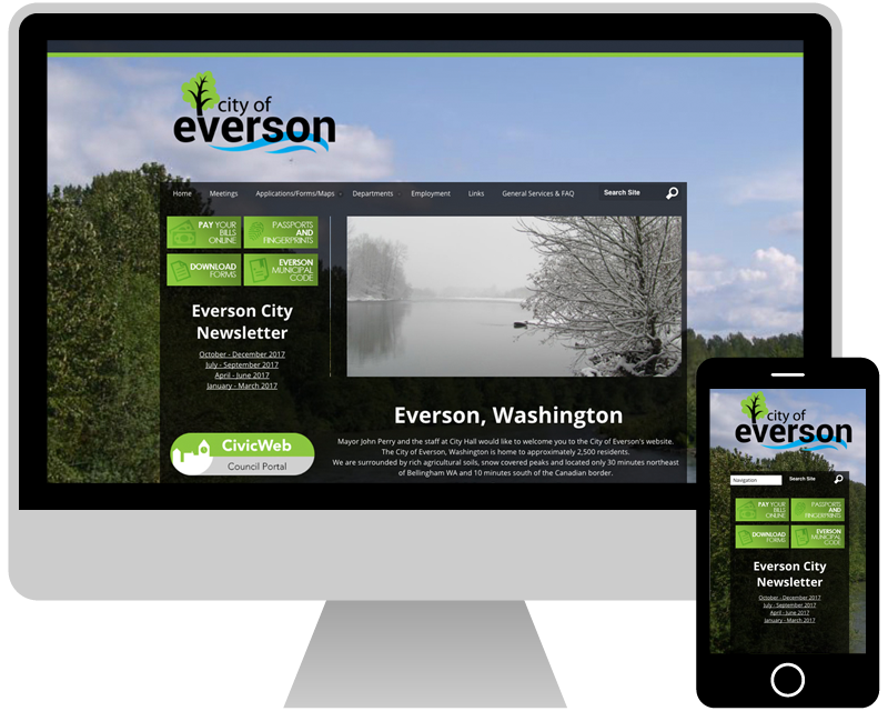 Website Design