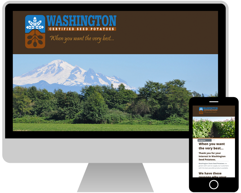 Website Design